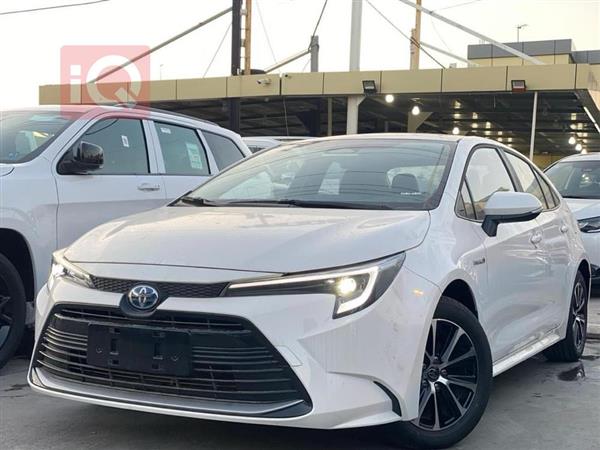 Toyota for sale in Iraq